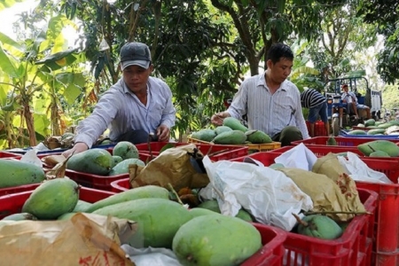 Nâng cao giá trị sản phẩm, đảm bảo đầu ra cho sản phẩm nông nghiệp