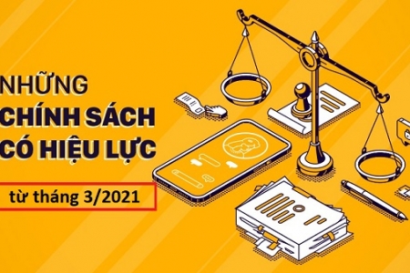 Những chính sách nổi bật có hiệu lực từ tháng 3/2021