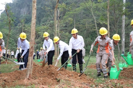 Tổng công ty Điện lực miền Bắc hưởng ứng Lễ trồng cây trên các “Con đường du lịch hoài niệm các di tích quốc gia”