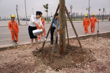 Tổng công ty Điện lực miền Bắc hưởng ứng chương trình trồng cây tại Bắc Giang