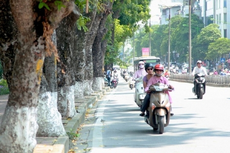 Dự báo thời tiết ngày 11/05: Miền Bắc ngày nắng nóng, chiều tối có mưa