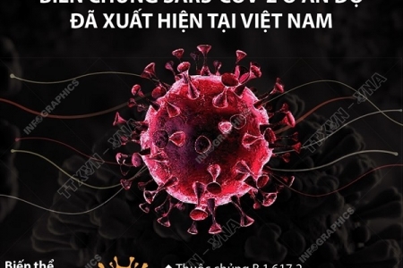 Phát hiện hai biến thể mới của virus SARS-CoV-2 tại Việt Nam