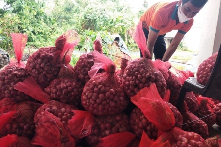 Hỗ trợ tiêu thụ hành tím Vĩnh Châu 3 sao OCOP trên nền tảng thương mại điện tử và “Gian hàng Việt trực tuyến”