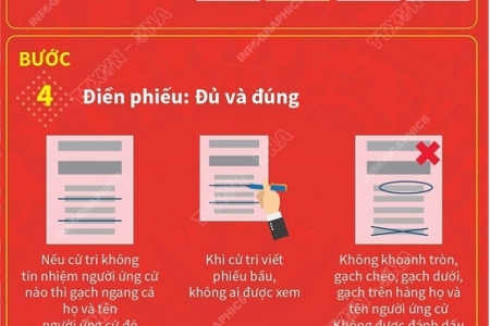 Quy trình 6 bước cử tri thực hiện khi đi bầu cử