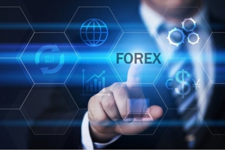 TP.HCM: Cảnh giác với các sàn ngoại hối Forex trái phép