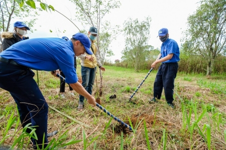 Bổ sung kinh phí cho công tác bảo vệ và phát triển rừng năm 2021