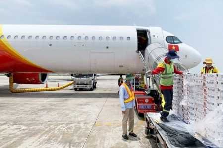 Vietjet hỗ trợ đưa vải thiều Việt Nam xuất ngoại