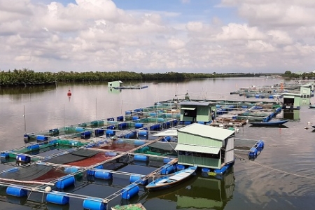 Tổng cục Thủy sản chỉ đạo hạn chế thiệt hại cho nuôi thủy sản lồng bè mùa mưa lũ