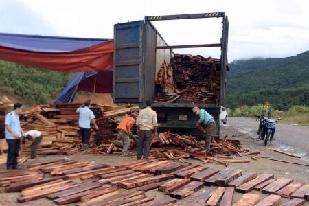 Khởi tố vụ buôn lậu lô gỗ quý trị giá hàng tỷ đồng qua cửa khẩu La Lay