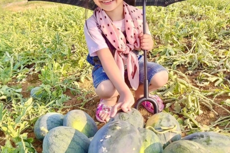 Thanh Hóa cho phép sử dụng địa danh để đăng ký nhãn hiệu tập thể "Dưa hấu Mai An Tiêm - Đặc sản Nga Sơn"