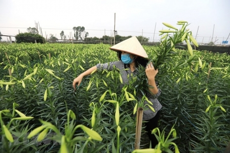 Hà Nội sắp có thêm nhiều nhãn hiệu sản phẩm được bảo hộ
