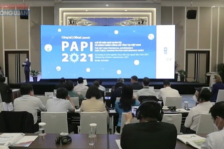 Chỉ số PAPI 2021 của Bình Định giảm 15 bậc