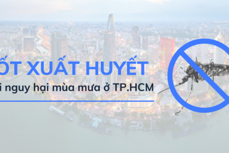 [Infographic] Thành phố Hồ Chí Minh mùa mưa: Phòng ngừa nguy cơ dịch sốt xuất huyết