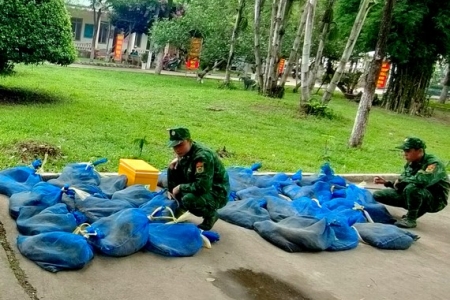 An Giang: Bắt giữ thuyền máy vận chuyển hàng chục cá thể động vật hoang dã qua biên giới