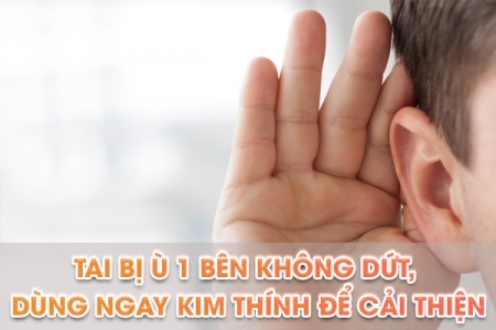 Tai bị ù 1 bên không dứt, dùng ngay Kim Thính để cải thiện