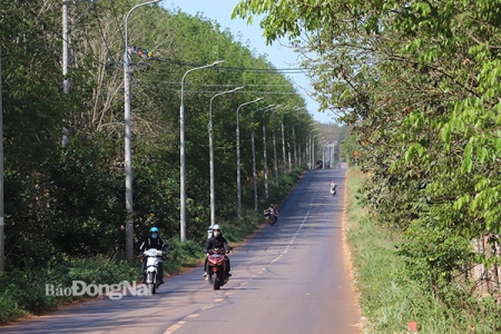 Đồng Nai ra quy định mới về tách thửa đất