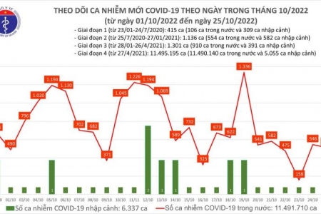 Ngày 25/10, ca mắc COVID-19 mới vượt mốc 500, bệnh nhân nặng tăng lên