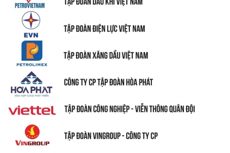 EVN - Top 10 doanh nghiệp lớn nhất Việt Nam