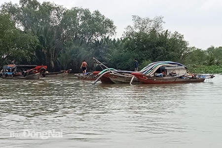 Bắt giữ 8 phương tiện khai thác cát trái phép trên sông Đồng Nai