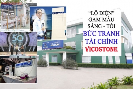 Lợi nhuận tăng giảm trong bức tranh tài chính của thương hiệu Vicostone