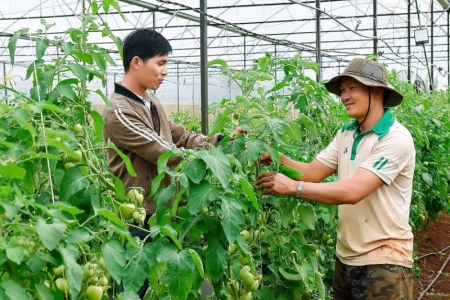 Gia Lai đẩy mạnh triển khai xây dựng mô hình nông hội