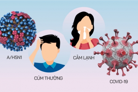 Cần Thơ tăng cường giám sát cúm A (H5N1) và bệnh viêm phổi nặng do virus