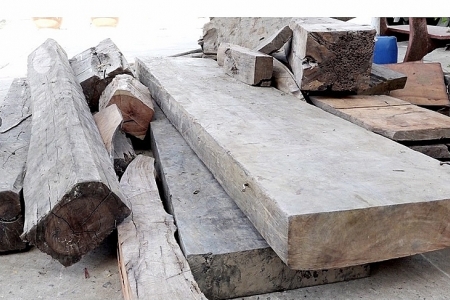 Tạm giữ 40 khúc gỗ nghi nhập lậu tại An Giang
