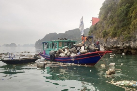 Quảng Ninh: Yêu cầu xử lý dứt điểm 8 cơ sở nuôi thủy sản trái phép trên vịnh Hạ Long