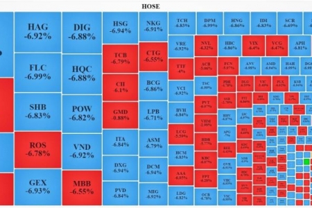 Bán tháo ồ ạt, VN - Index mất 55 điểm, thị trường chứng khoán “rơi tự do”