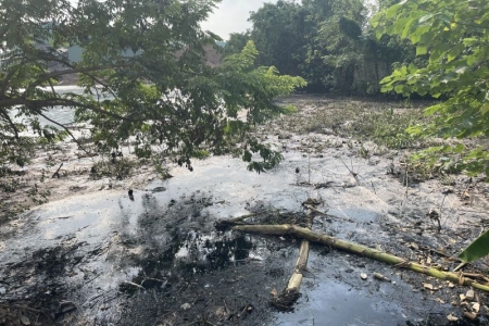 Vĩnh Phúc: Cần xử lý nghiêm những trường hợp gây ô nhiễm môi trường