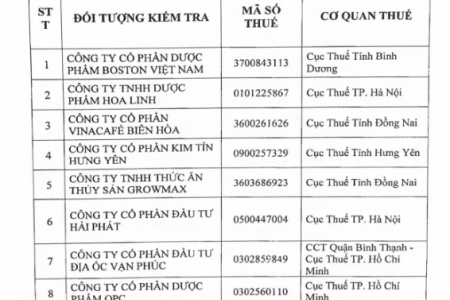 Những doanh nghiệp đình đám nào "lọt" danh sách kiểm tra chuyên ngành của Tổng cục Thuế?