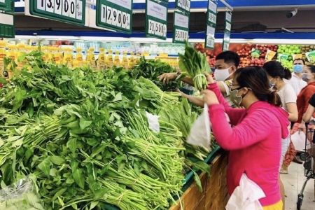 TP. Hồ Chí Minh: Chính sách hỗ trợ liên kết sản xuất và tiêu thụ sản phẩm nông nghiệp