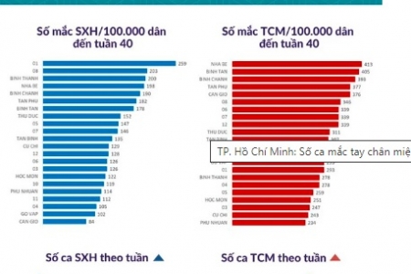 TP. Hồ Chí Minh: Số ca mắc tay chân miệng, sốt xuất huyết có dấu hiệu tăng trở lại