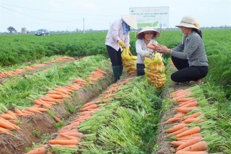 Hải Dương kết nối tiêu thụ sản phẩm nông nghiệp chủ lực