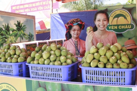 Câu chuyện xây dựng thương hiệu nông sản ở huyện Yên Châu