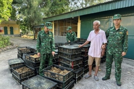 10 tháng Quảng Ninh xử lý gần 2.400 vụ buôn lậu, gian lận thương mại và hàng giả