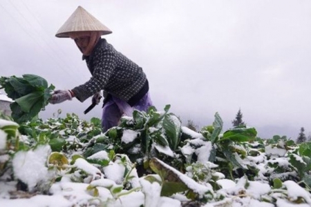 Thời tiết ngày 18/12: Bắc Bộ và Bắc Trung Bộ tiếp tục rét đậm, khả năng có mưa tuyết