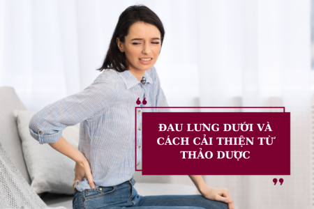 Nguyên nhân đau lưng dưới gần mông và giải pháp cải thiện từ Cốt Thoái Vương