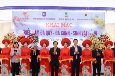 Bắc Ninh: Khai mạc triển lãm đá quý, đá cảnh và sinh vật cảnh Xuân Giáp Thìn năm 2024