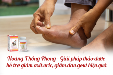 Hoàng Thống Phong - Giải pháp thảo dược hỗ trợ giảm axit uric, giảm đau gout hiệu quả