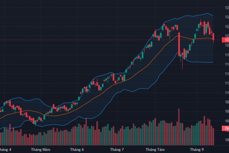 VN-Index hôm nay: Các chỉ báo kỹ thuật ủng hộ xu hướng tăng điểm của thị trường