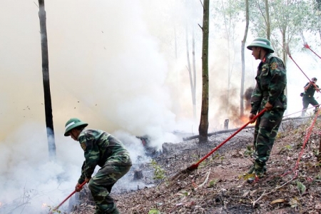 Bắc Giang: Tăng cường các biện pháp cấp bách phòng cháy, chữa cháy rừng