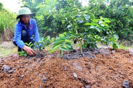 Long An triển khai kế hoạch phát triển sản xuất và sử dụng phân bón hữu cơ