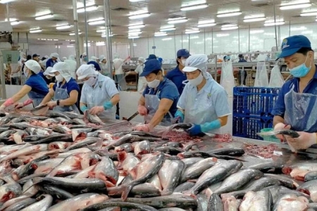 Xuất khẩu thủy sản dự báo giảm mạnh trong quý IV do tác động từ thuế và rào cản kỹ thuật