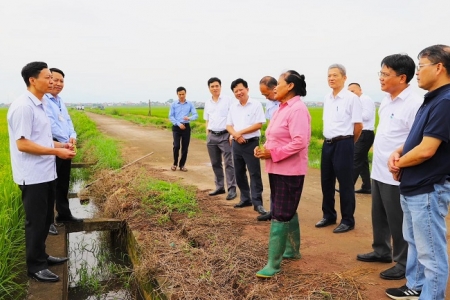 Khát vọng Supe Lâm Thao