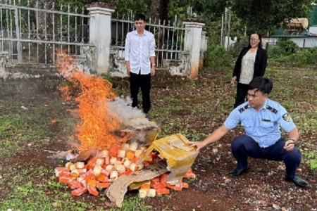 Gia Lai tiêu hủy 295 đơn vị sản phẩm mỹ phẩm không rõ nguồn gốc, xuất xứ