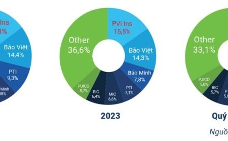 PVI đứng đầu danh sách Top 10 công ty bảo hiểm phi nhân thọ uy tín năm 2024