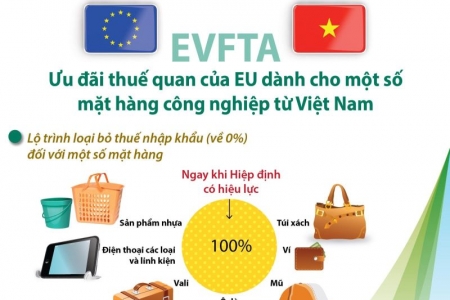 EU sẽ đề xuất bỏ quy định miễn thuế nhập khẩu đơn hàng có giá trị dưới 150 Euro