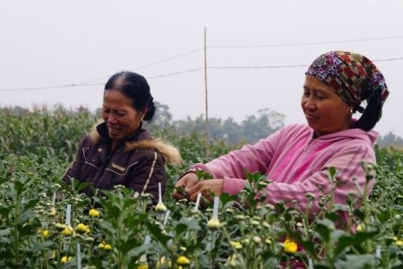 Thu nhập bình quân đầu người của Hà Nam đạt trên 5,8 triệu đồng/tháng