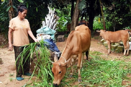 Đẩy mạnh giải ngân nguồn vốn Chương trình MTQG giảm nghèo bền vững